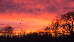 Paxton Pits- Sky at Night